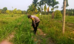 IMG-20260917-WA0013(1)